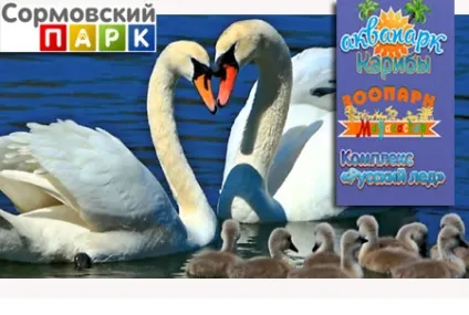 Циферблат, кафе час гроші