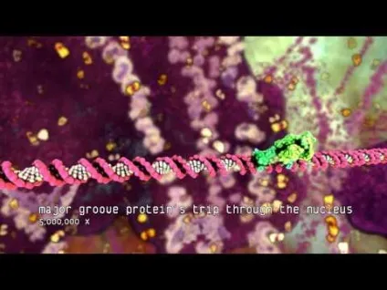 Що таке science art творча лабораторія - цифровий світ