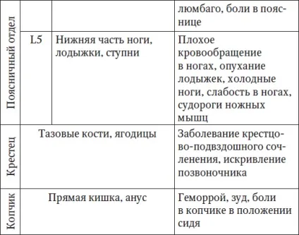 Що таке хребет