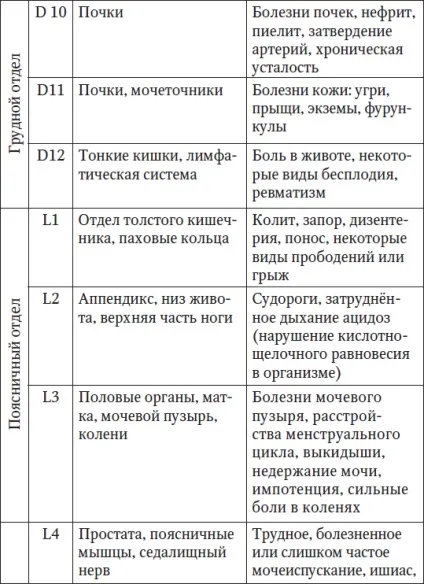 Що таке хребет