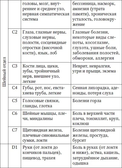 Що таке хребет
