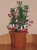 Квіти з капрону своїми руками (своїми) Квіти з капрону своїми руками