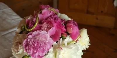 Квіти вересня на дачних ділянках (квіти) Квіти вересня на дачних ділянках