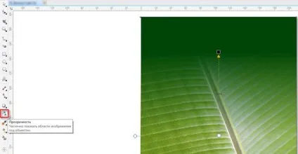 Coreldraw graphics suite - навчальні посібники
