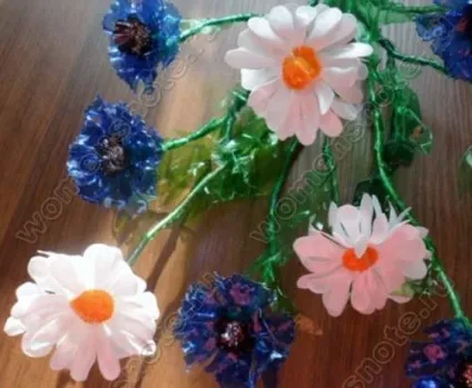 Квіти з пластикових пляшок! жіночий світ