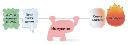 Дитяча застуда - лікування нежиті