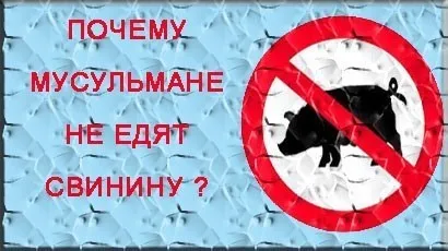 Чи справді все мусульмани не їдять сало, або це міф (Таким чином підійшли) Чи справді все мусульмани не їдять сало, або це міф