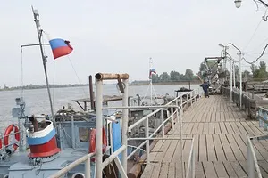Як обробляють рибу, як це зроблено