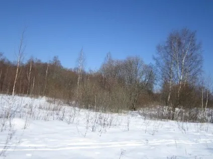 Як не замерзнути в зимовому лісі () Як не замерзнути в зимовому лісі