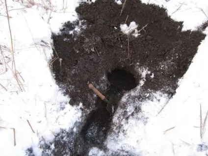 Як не замерзнути в зимовому лісі () Як не замерзнути в зимовому лісі