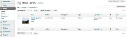 Додаємо рубрику, таксономії і мітки для файлів wordpress (форматування) Додаємо рубрику, таксономії і мітки для файлів wordpress