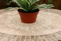 Драцена деремская і запашна фото, догляд і розмноження в домашніх умовах, види, чому сохнуть, (запашна) Драцена деремская і запашна фото, догляд і розмноження в домашніх умовах, види, чому сохнуть,