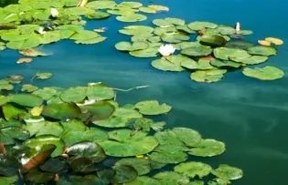 Пам'ятки околиць сонячного берега (ділиться стару нову) Пам'ятки околиць сонячного берега