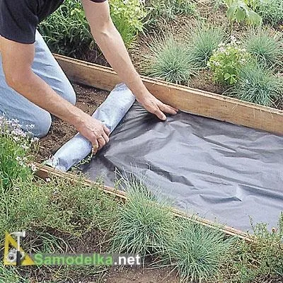 Доріжка з плитняка своїми руками