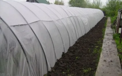 Дуги для парника своїми руками як зробити, матеріали, з чого, фото, відео (руками) Дуги для парника своїми руками як зробити, матеріали, з чого, фото, відео