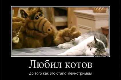 До того, як це стало мейнстрімом, netlore макроси, мейнстрім, субкультури, хіпстера