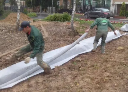Дренаж на садовій ділянці своїми руками дренажні системи садових ділянок, дренаж в саду на фото і (судовому) Дренаж на садовій ділянці своїми руками дренажні системи садових ділянок, дренаж в саду на фото і