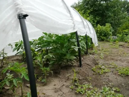 Дуги для парника своїми руками як зробити, матеріали, з чого, фото, відео (парника) Дуги для парника своїми руками як зробити, матеріали, з чого, фото, відео