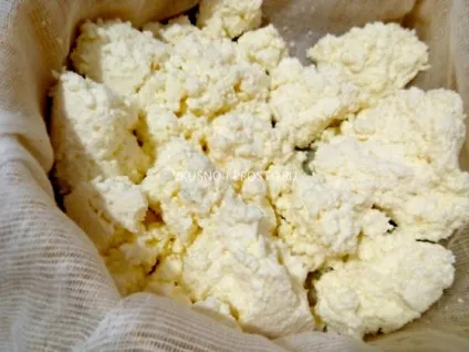 Домашній сир з молока (смачний домашній сир) Домашній сир з молока