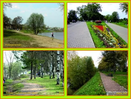 Дорожня діяльність