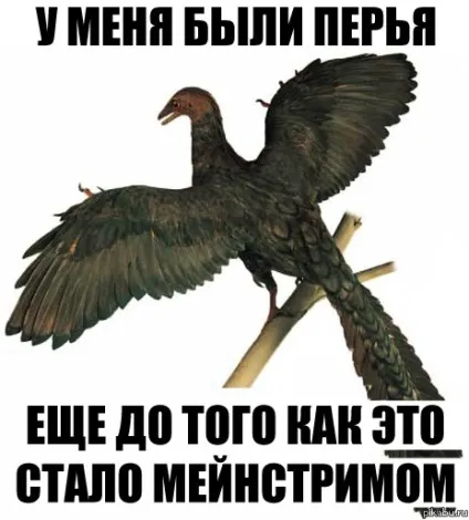 До того, як це стало мейнстрімом, netlore макроси, мейнстрім, субкультури, хіпстера