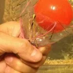 Експерименти своїми руками