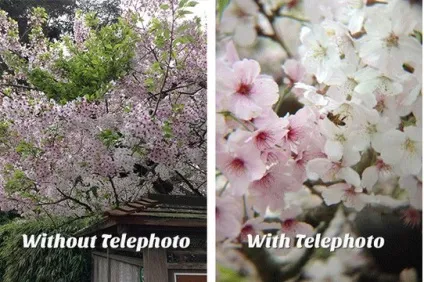 Ефекти лінз - lens4phone - магазин об'єктивів для телефонів і планшетів (telephoto наближає фотографоване) Ефекти лінз - lens4phone - магазин об'єктивів для телефонів і планшетів