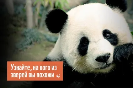 Екологічний слід