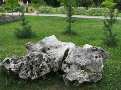 Еко-готель романів ліс
