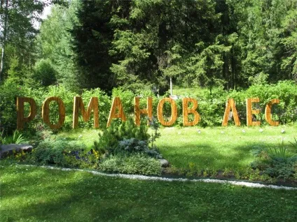 Еко-готель романів ліс