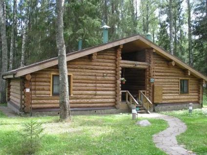 Еко-готель романів ліс