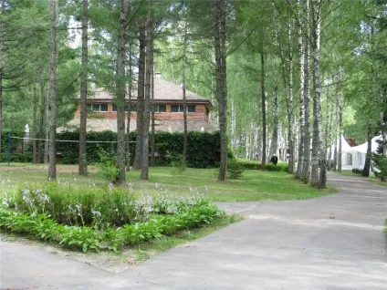 Еко-готель романів ліс