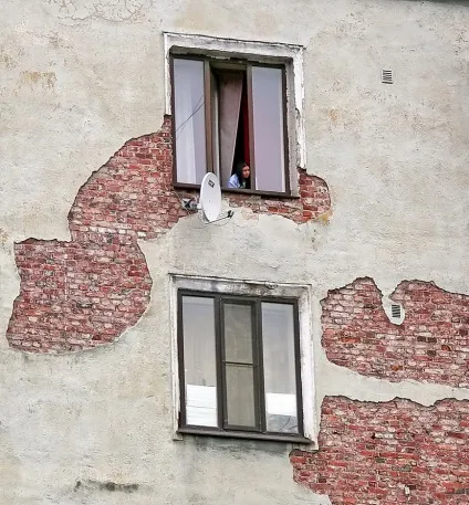 Двері, собака, кішка і пташка, галузь культури (пташка) Двері, собака, кішка і пташка, галузь культури