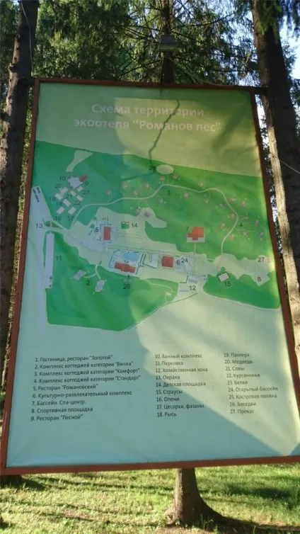 Еко-готель романів ліс