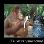 Якби я знала, коли бачила тебе в останній раз, що це останній раз (тебе) Якби я знала, коли бачила тебе в останній раз, що це останній раз