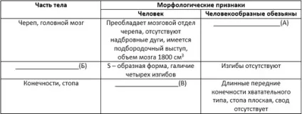 Еволюція людини (антропогенез)
