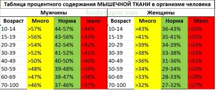 Факти про м'язи людини - цікаве про м'язи в нашому тілі (факти) Факти про м'язи людини - цікаве про м'язи в нашому тілі