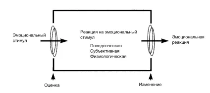 Faq емоційна регуляція