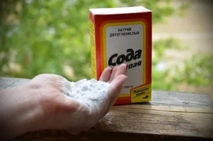 Якщо з'їсти цвіль, що буде