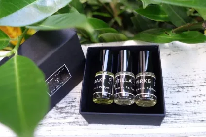 Енергетична сироватка проти випадіння волосся wella system professionals balance scalp energy