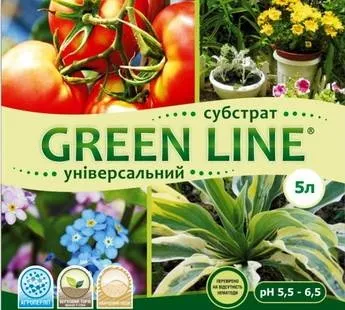 Фіалки на підвіконні, субстрат, земляна суміш для фіалок (фіалки) Фіалки на підвіконні, субстрат, земляна суміш для фіалок