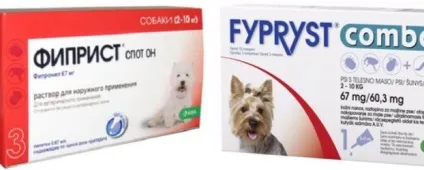 Фіпріст для собак - інструкція із застосування, ціна, відгуки, «дай лапу» (фіпріст) Фіпріст для собак - інструкція із застосування, ціна, відгуки, «дай лапу»
