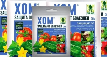 Фітофтора на помідорах - як боротися, сад і город - інтернет журнал про дачу (помідорах) Фітофтора на помідорах - як боротися, сад і город - інтернет журнал про дачу
