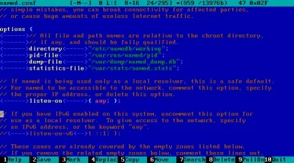 Freebsd gateway dhcp