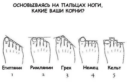 Форма стопи і характер