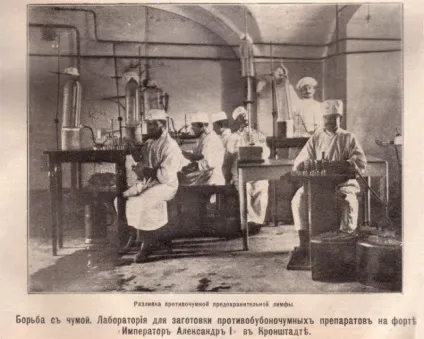 Форт - олександр 1