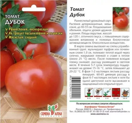 Фітофтора на помідорах - як боротися, сад і город - інтернет журнал про дачу (помідорах) Фітофтора на помідорах - як боротися, сад і город - інтернет журнал про дачу