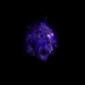 Гайд по АТРОПОС - гайди доту 1 () (АТРОПОС) Гайд по АТРОПОС - гайди доту 1 ()