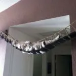 Гамак для кішки фотоальбом (гамак для кішки фото) Гамак для кішки фотоальбом