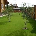 Газон своїми руками посадка газону, як правильно зробити газон, як виростити траву правильно (посадка) Газон своїми руками посадка газону, як правильно зробити газон, як виростити траву правильно